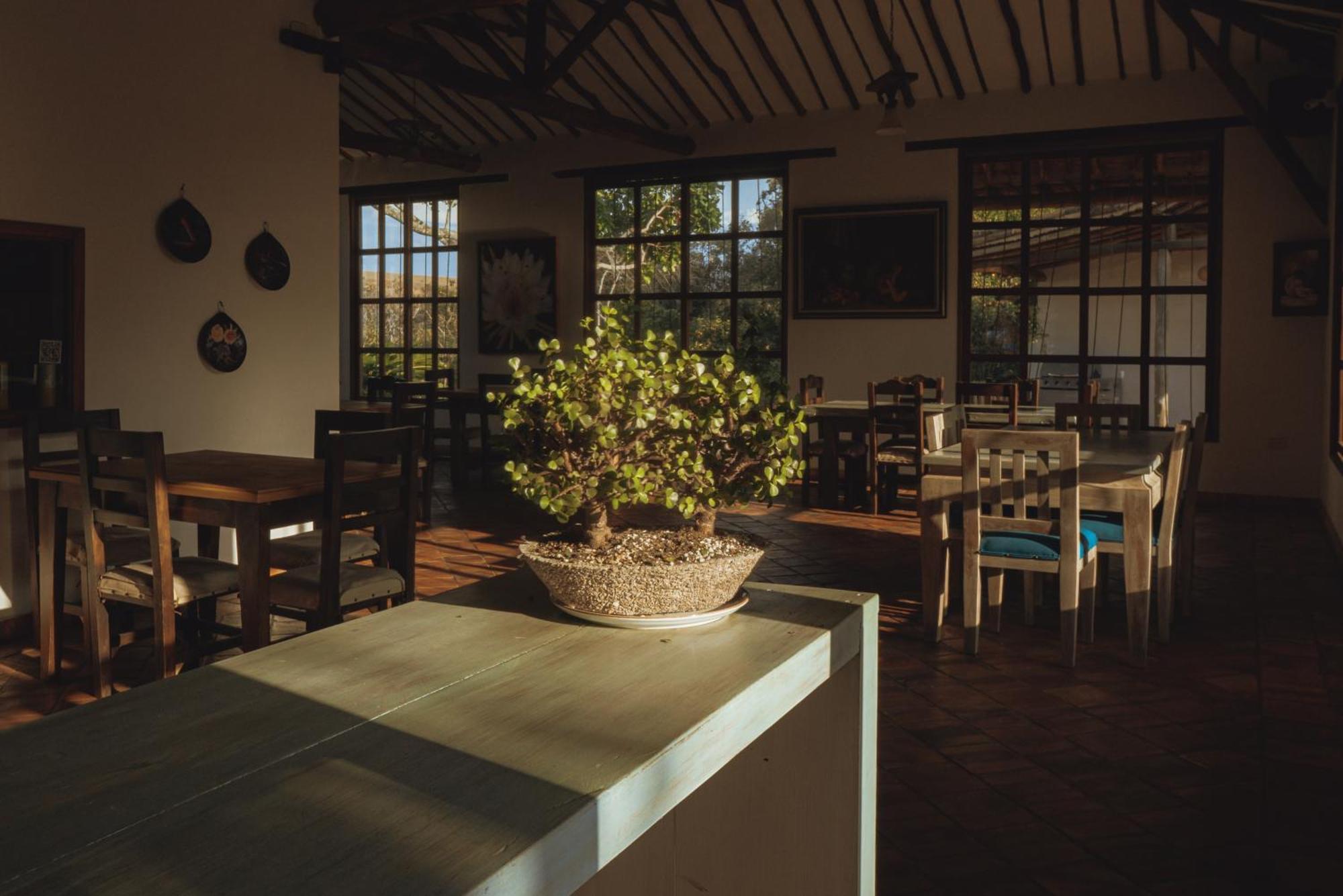 Hotel Finca Buenos Aires Барічара Екстер'єр фото